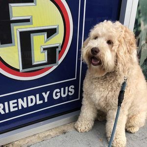 Meet your Posher, Frances